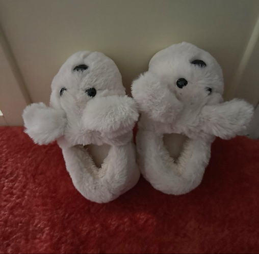 f0a9398999c90c57a635b5dfefe1ee48_1764243110_3925.png f0a9398999c90c57a635b5dfefe1ee48_1764243110_3925.png