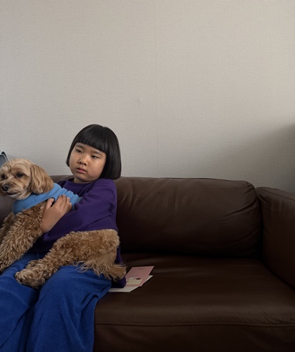 b2a8aad3234010270cfd52e033b474c8_1771492580_7014.jpg b2a8aad3234010270cfd52e033b474c8_1771492580_7014.jpg