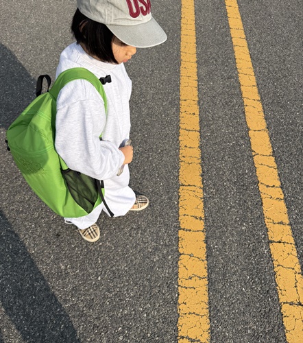 fb40d219523eb65589695c3dd50324e1_1771072560_3447.jpg fb40d219523eb65589695c3dd50324e1_1771072560_3447.jpg