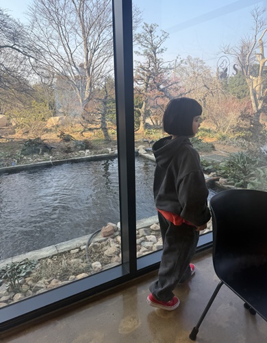 2ceaf0aad5011f9e52ff21b54c14a76a_1773551311_7562.jpg 2ceaf0aad5011f9e52ff21b54c14a76a_1773551311_7562.jpg